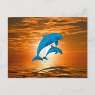 Carte Postale Dauphins
