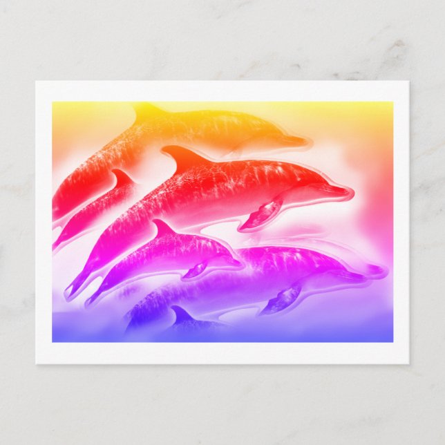Carte Postale Dauphins arc-en-ciel art (Devant)