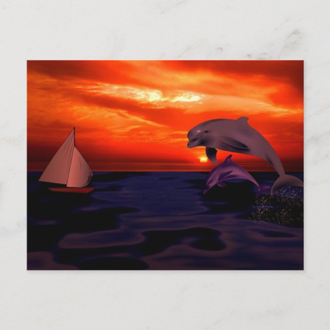 Carte Postale Dauphins au coucher du soleil (Devant)