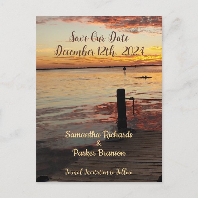 Carte Postale Dauphins au coucher du soleil Économisez notre car (Devant)