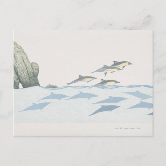 Carte Postale Dauphins communs (Devant)