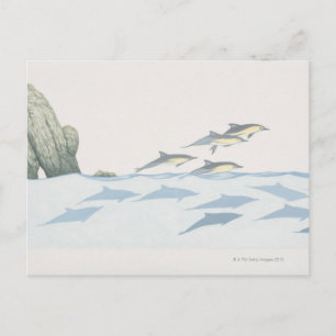 Carte Postale Dauphins communs