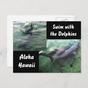 Carte Postale Dauphins d'Hawaï