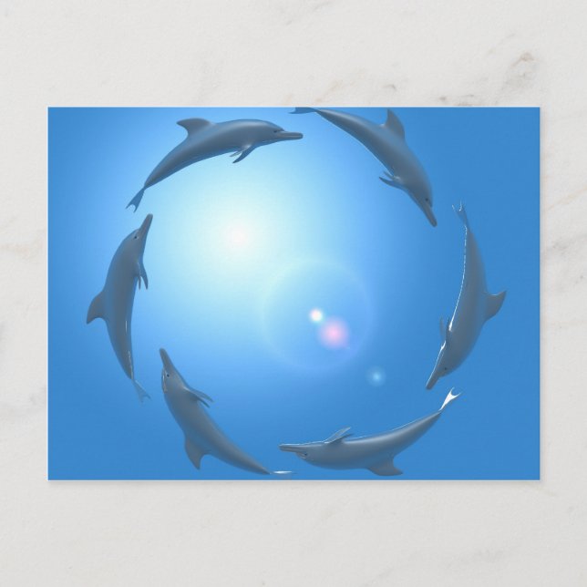 Carte Postale Dauphins flottant en cercle (Devant)