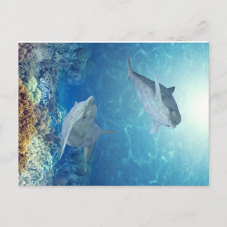 Carte Postale dauphins heureux