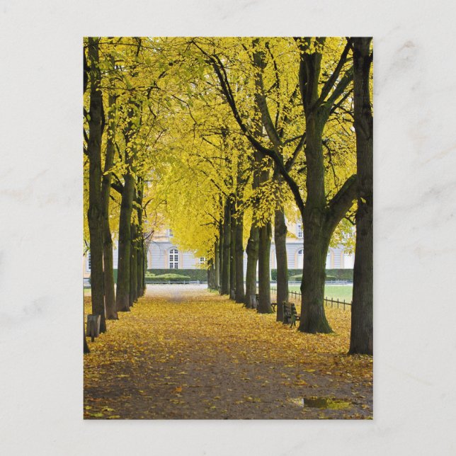 Carte Postale d'Automne (Devant)