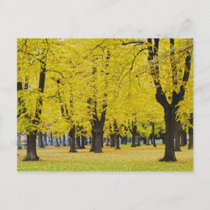 Carte postale d'automne