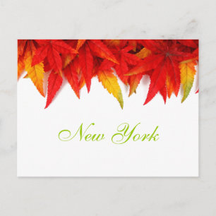 Carte postale d'automne à New York