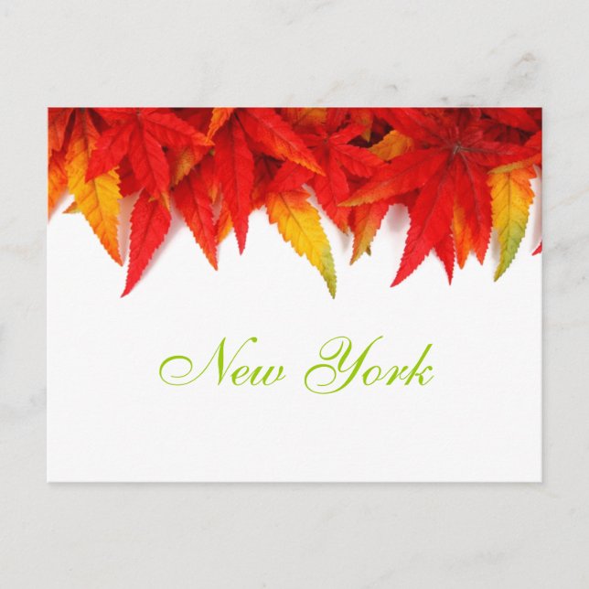 Carte postale d'automne à New York (Devant)
