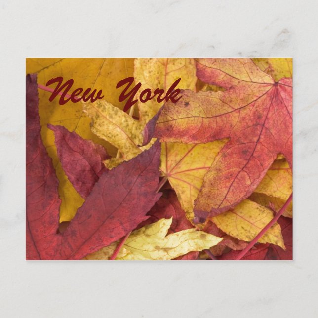 Carte postale d'automne de New York (Devant)