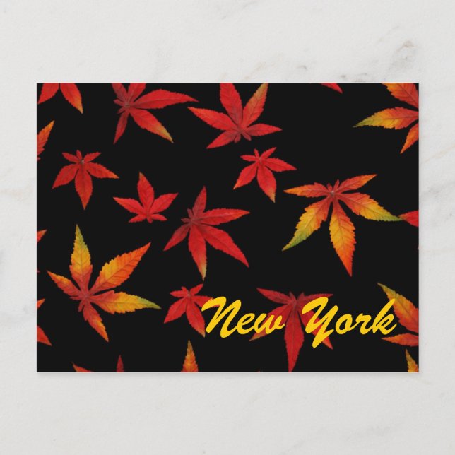 Carte postale d'automne de New York (Devant)