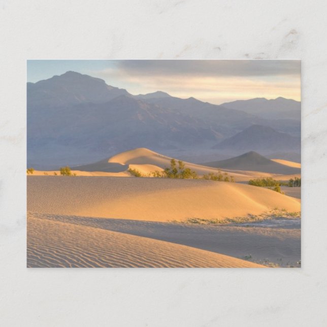Carte Postale Dawn du désert (Devant)