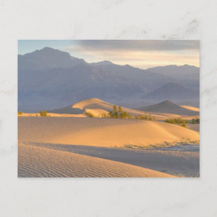 Carte Postale Dawn du désert