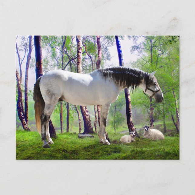 Carte Postale "Daybreak" (Devant)