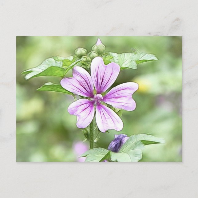 Carte Postale Daybreak - Fleur de Mallow (Devant)