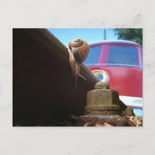 Carte Postale de