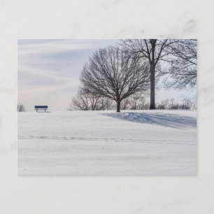 Carte postale de banc sur une colline enneigée