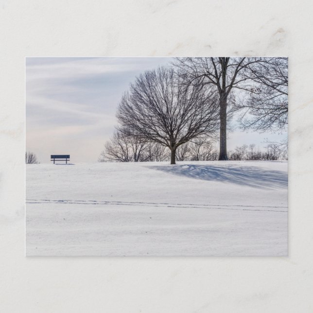 Carte postale de banc sur une colline enneigée (Devant)