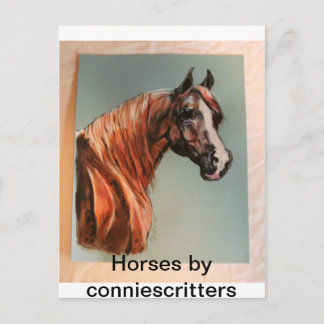 Carte Postale De beaux chevaux par conniescritures