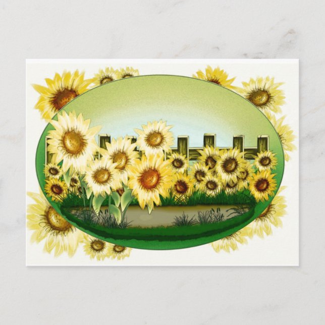 Carte postale de beaux tournesols (Devant)