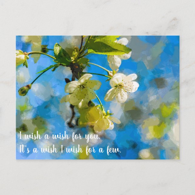 Carte Postale De belles fleurs de cerisiers (Devant)