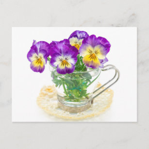 Carte Postale de belles fleurs de pansement isolées dans une tas