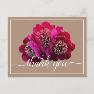 Carte Postale De belles pivoines cramoisies couleur de fond Merc