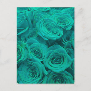 Carte Postale De belles roses vert sarcelle fleurs sarcelle 