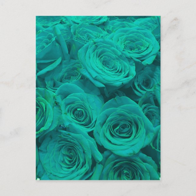 Carte Postale De belles roses vert sarcelle fleurs sarcelle  (Devant)