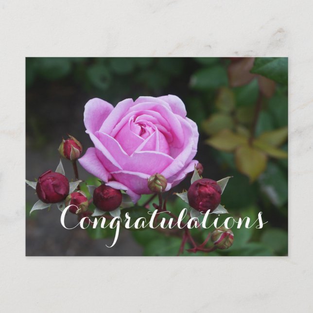 Carte postale de Bishop's Castle #1 (Devant)