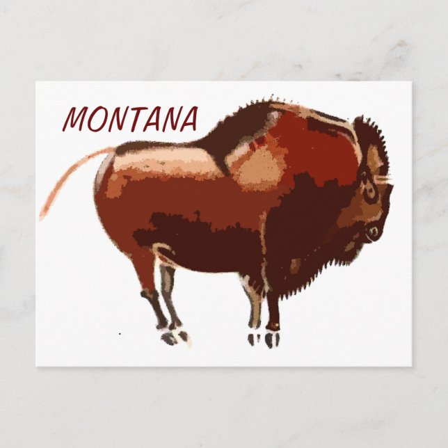 carte postale de bison peint Montana (Devant)
