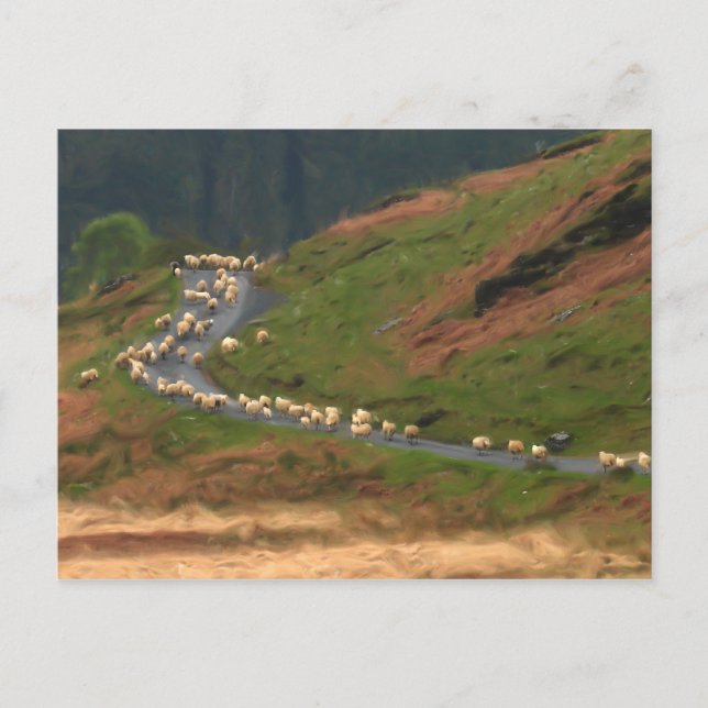 Carte postale de blocage de trafic (Devant)