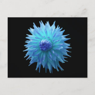 Carte postale de Blue Jennie sur fond noir