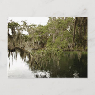 Carte postale de Blue Springs State Park