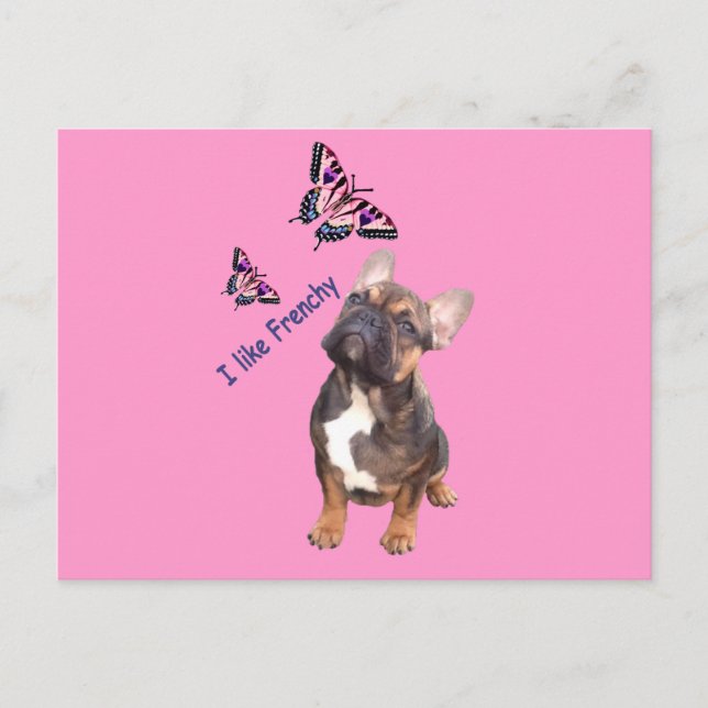 Carte postale de bouledogue français (Devant)