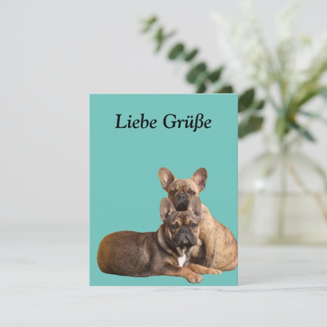 Carte postale de bouledogue français (Debout devant)