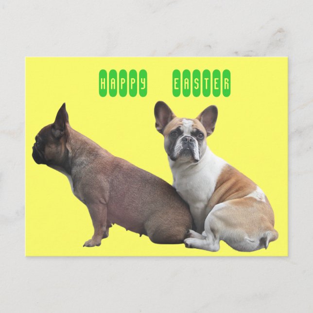Carte postale de bouledogue français (Devant)