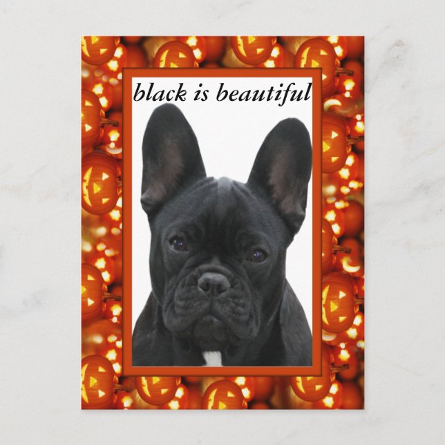 Carte postale de bouledogue français (Devant)