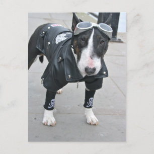 Carte postale de bouledogue gothique