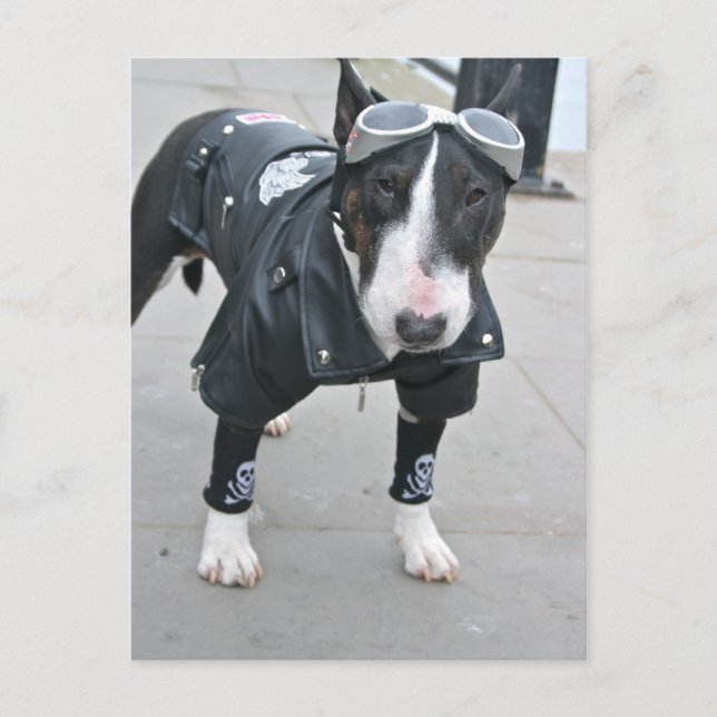 Carte postale de bouledogue gothique (Devant)