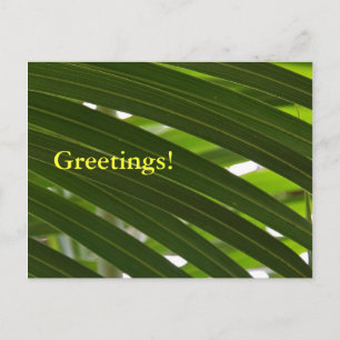 Carte postale de broche