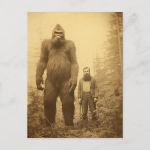Carte postale de bûcheron Sasquatch