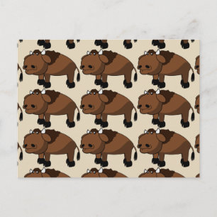 carte postale de buffalo