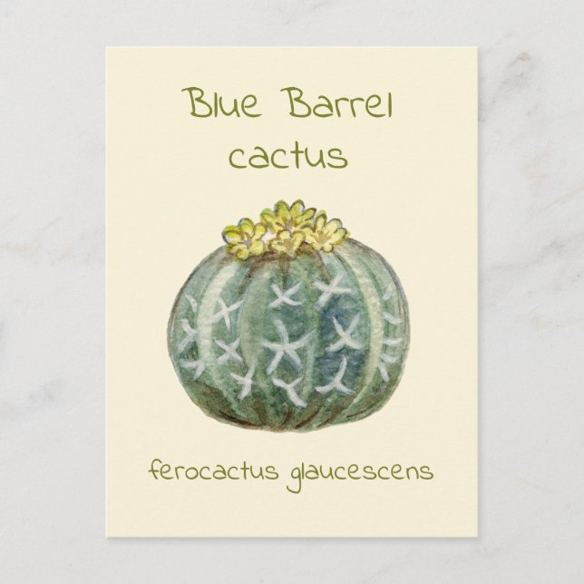 Carte postale de cactus à baril bleu (Devant)