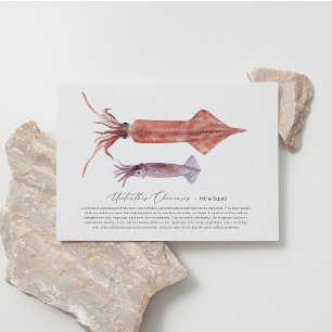 Carte postale de calmar