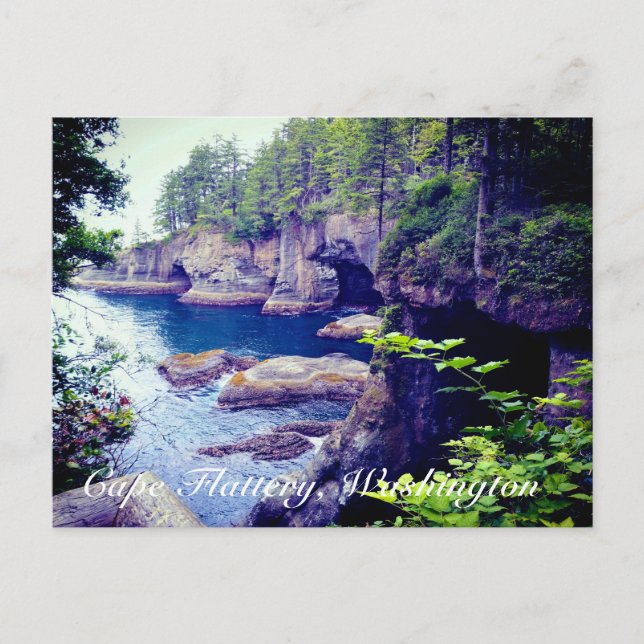 Carte postale de Cape Flattery (Devant)