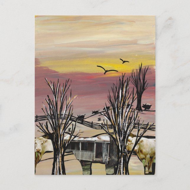 Carte postale de Cattle Country (Devant)