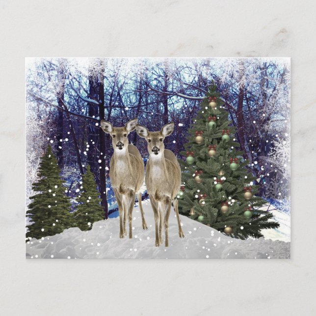Carte postale de cerfs et d'arbre de Noël de pays  (Devant)