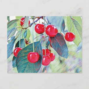Carte postale de cerises douces
