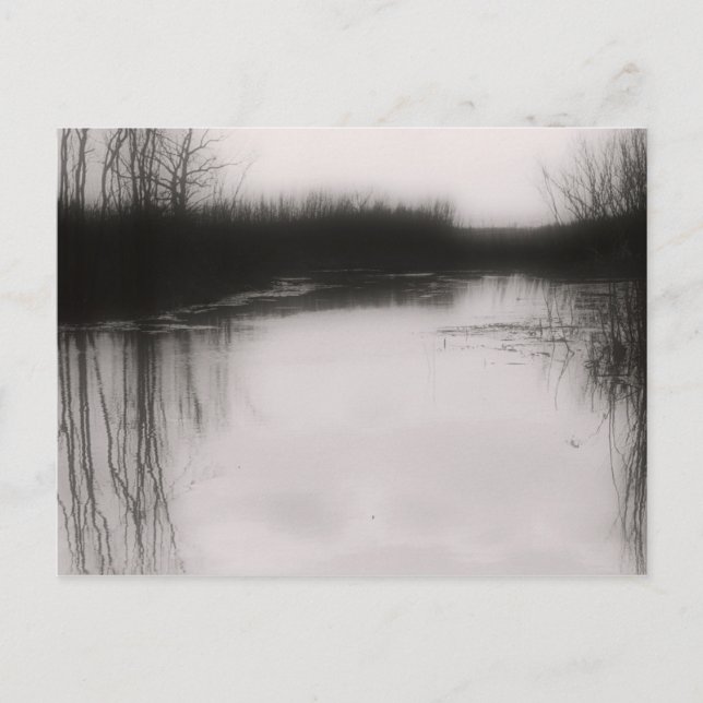 Carte postale de champ noir et blanc inondé (Devant)